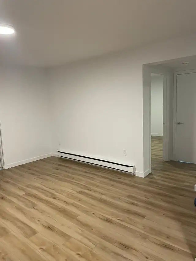 2 Bedroom on Doctor's Lake - Photo 4