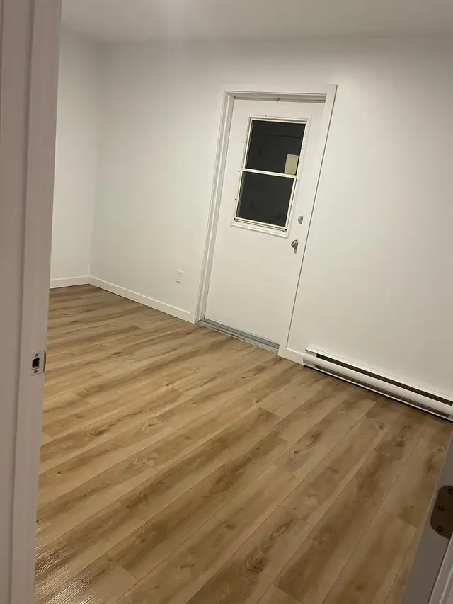 2 Bedroom on Doctor's Lake - Photo 9