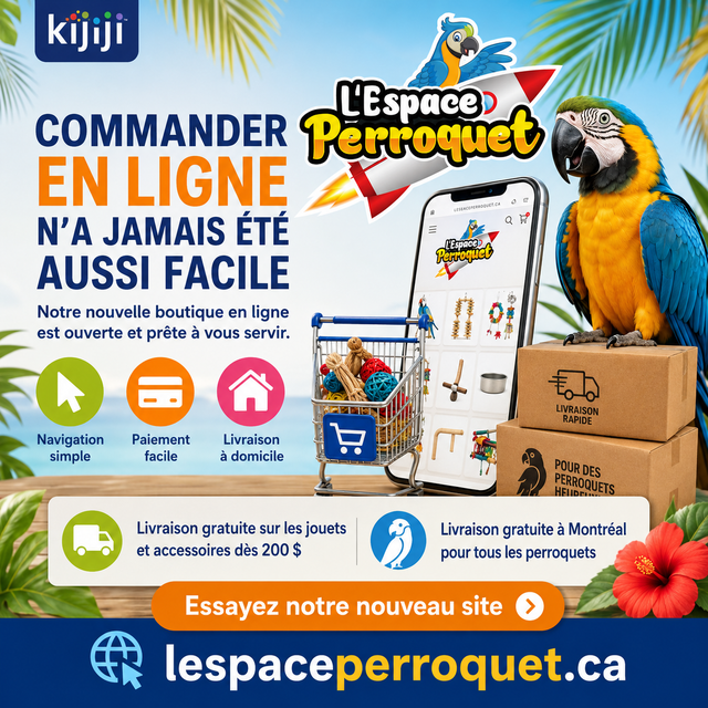 ⭐⭐ Bébé Conure Yellowside facteur rouge ⭐⭐ - Photo 10
