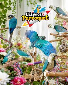 Bébés Conures Mooncheek / Petit Perroquet Belle Mutation Rare - Photo 5