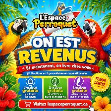 @L’Espace Perroquet de retour! The Parrot Space is Now Back