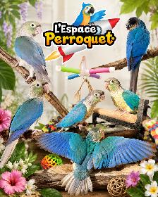 @L’Espace Perroquet de retour! The Parrot Space is Now Back - Photo 4