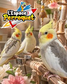 @L’Espace Perroquet de retour! The Parrot Space is Now Back - Photo 7