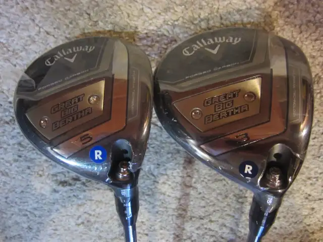 NEW CALLAWAY WOODS   IRONS SUNDAY - Photo 6