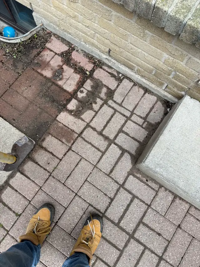 Fencing & deck repairs