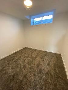Legal Basement Suite in Hotchkiss - Photo 3