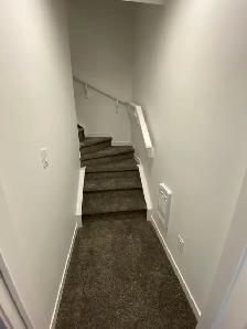 Legal Basement Suite in Hotchkiss - Photo 10