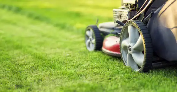 Mikes Lawn Care $50