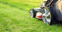 Mikes Lawn Care $50