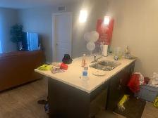 2 bedroom 2 bathroom for rent - Photo 7