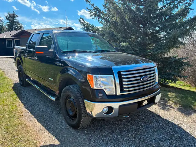 Ford F150  Need Gone,  New Diagnostic Info