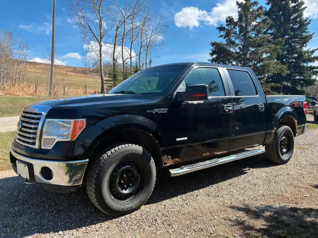 Ford F150  Need Gone,  New Diagnostic Info - Photo 2