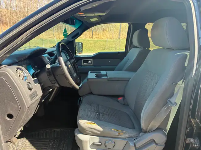 Ford F150  Need Gone,  New Diagnostic Info - Photo 4
