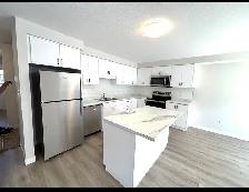 Brand New Town Home available for Rent - Photo 6