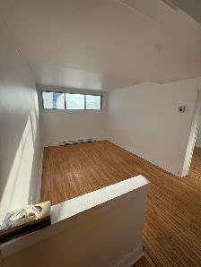 3-1/2 Sous Sol Rosemont - Photo 2
