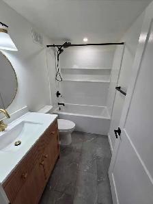 beasment renovation