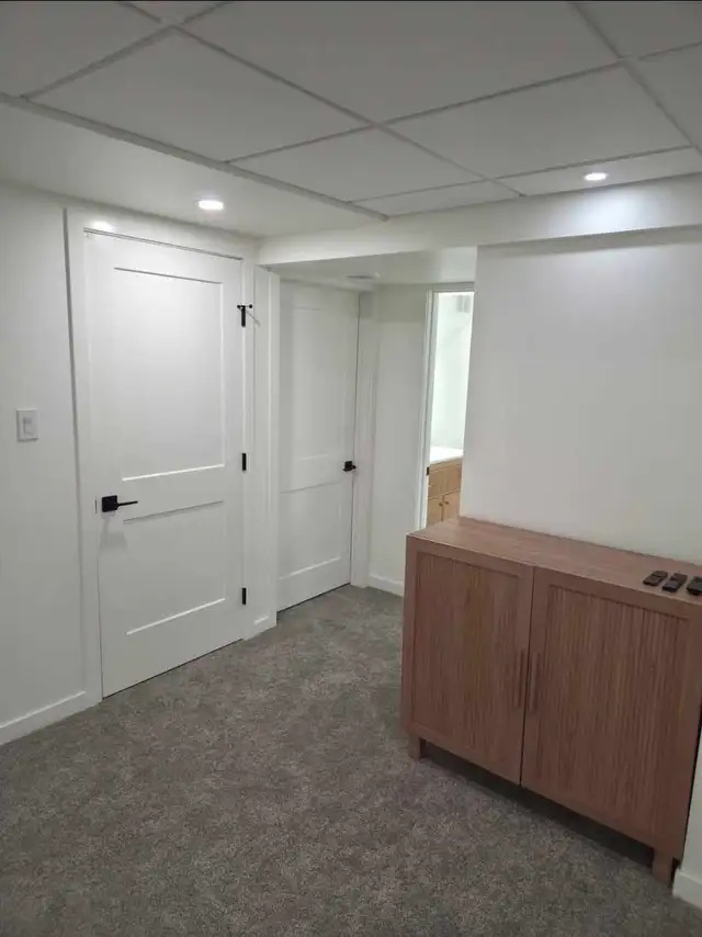 beasment renovation - Photo 2