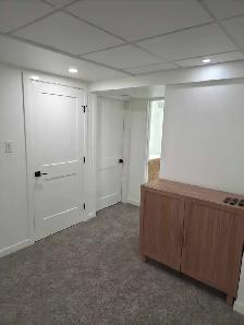 beasment renovation - Photo 2