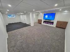 beasment renovation - Photo 3