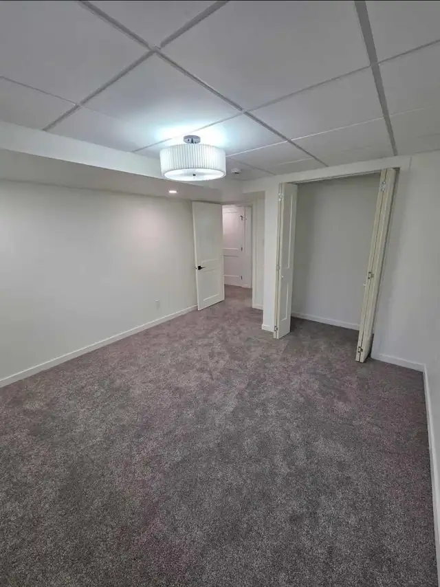 beasment renovation - Photo 4
