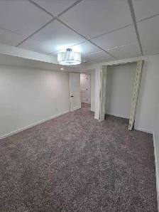 beasment renovation - Photo 4
