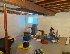 beasment renovation - Photo 6