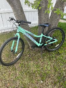 Northrock Kids bike