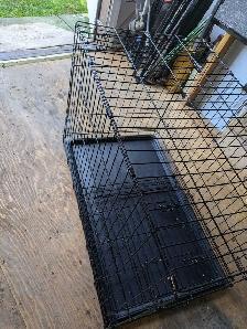 Pet Supply