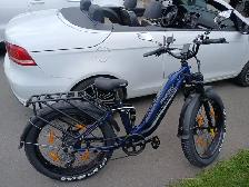 2025 Powerful Electric Bike