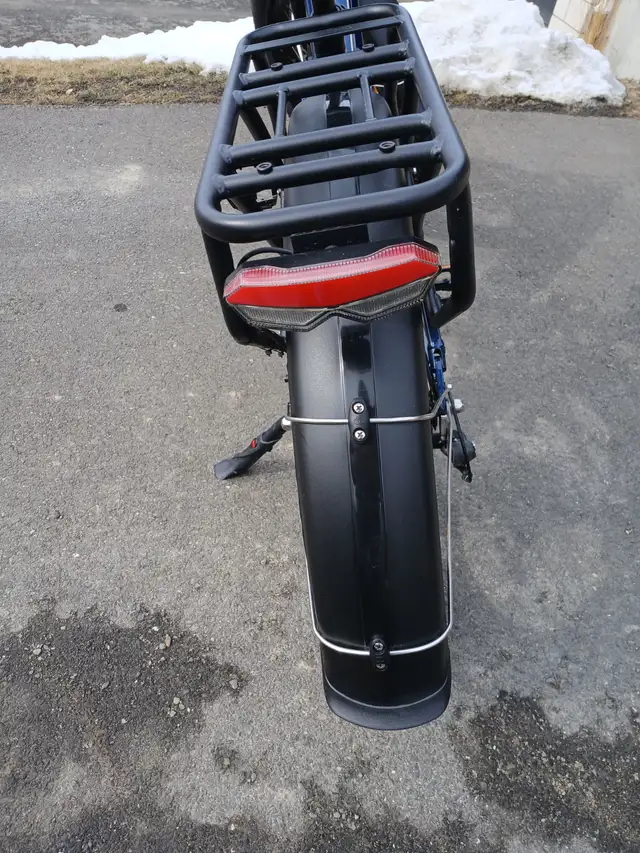 2025 Powerful Electric Bike - Photo 8