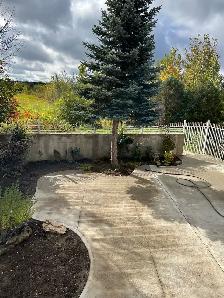 Room for Rent - Photo 7
