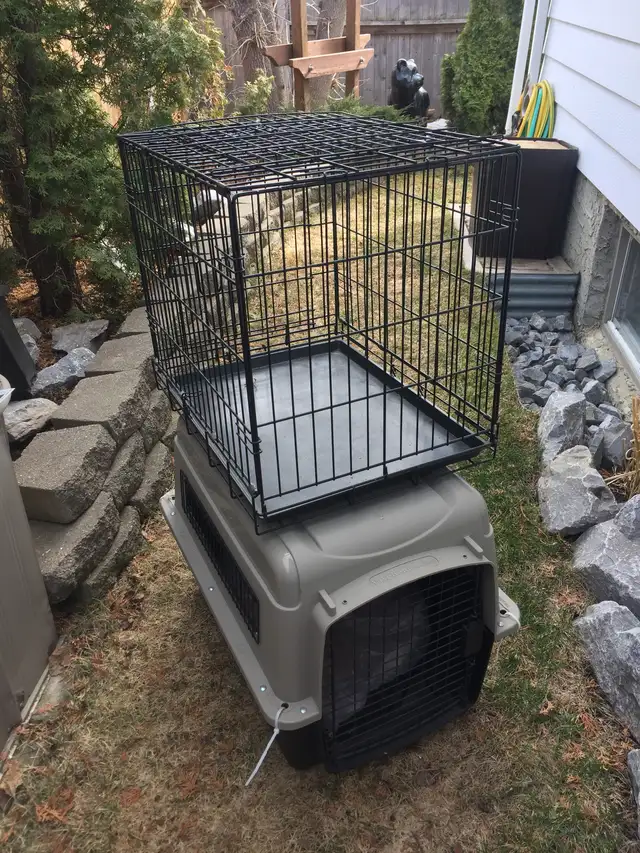 DOG KENNEL
