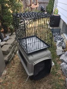 DOG KENNEL