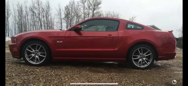 Ford Mustang - Photo 2