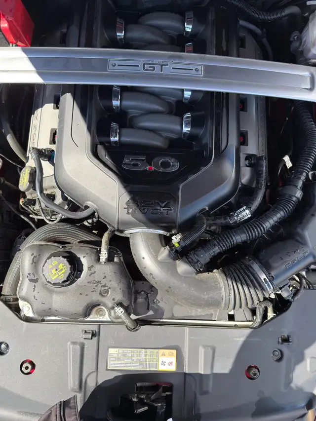 Ford Mustang - Photo 8