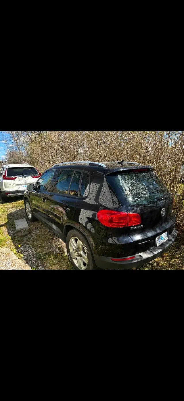 2013 Volkswagen Tiguan - Photo 2