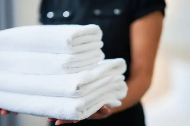 Housekeeping Job in Ottawa, Laundry, Folding of the Clothes - Photo 2