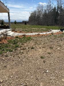 Landscape / Lawn Care Services – Mulching & Grass - Photo 3