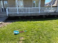 Landscape / Lawn Care Services – Mulching & Grass - Photo 5