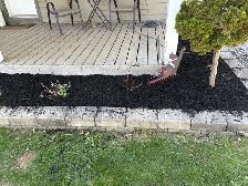 Landscape / Lawn Care Services – Mulching & Grass - Photo 7