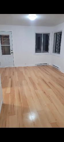 Magnifique 5 1/2 bas de duplex avec garage stationnement et jard - Photo 10