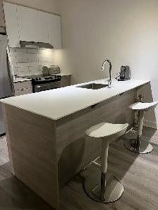 Downtown Montreal Penthouse for rent Furnished   Garage   Intrnt