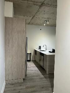 Downtown Montreal Penthouse for rent Furnished   Garage   Intrnt - Photo 2