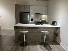 Downtown Montreal Penthouse for rent Furnished   Garage   Intrnt - Photo 4