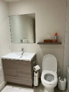 Downtown Montreal Penthouse for rent Furnished   Garage   Intrnt - Photo 8