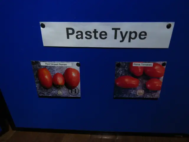 Heirloom tomato plants for sale - Photo 7