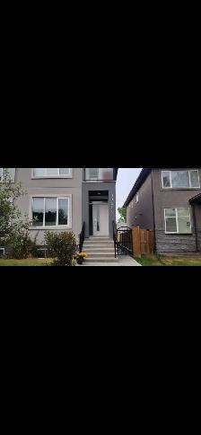 Beautiful Basement Suite for Rent, U of A