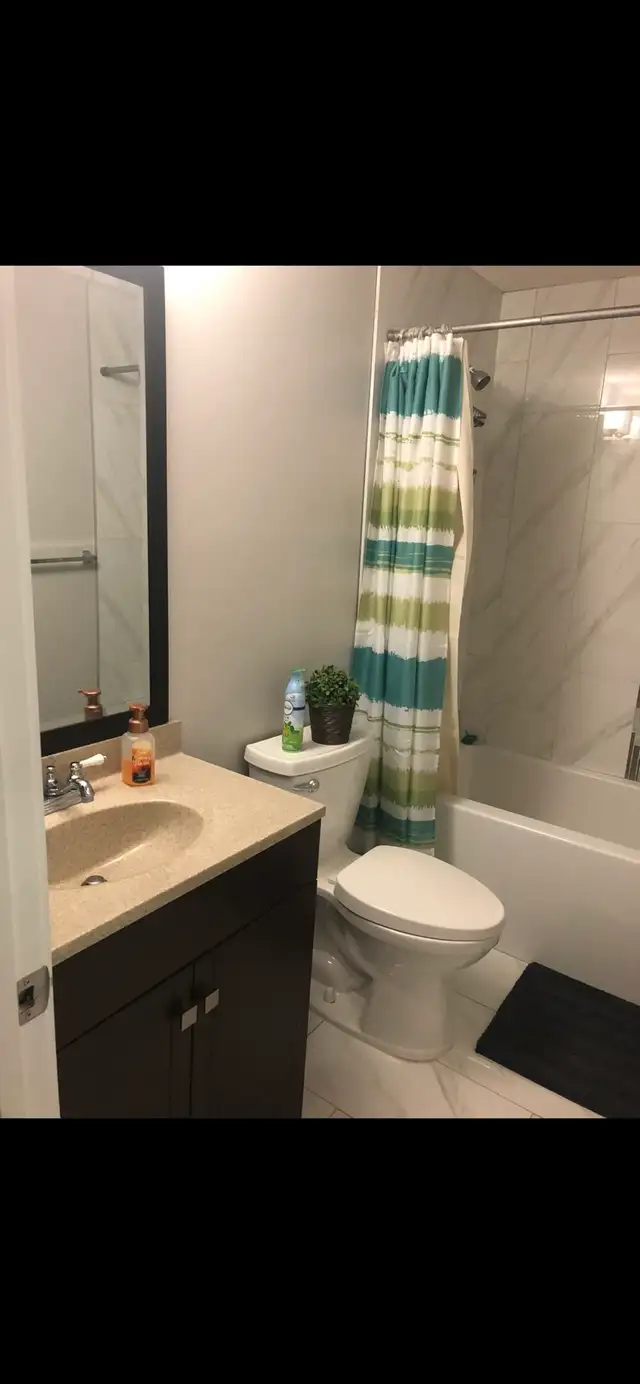 Beautiful Basement Suite for Rent, U of A - Photo 5