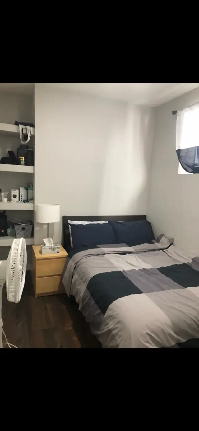 Beautiful Basement Suite for Rent, U of A - Photo 6