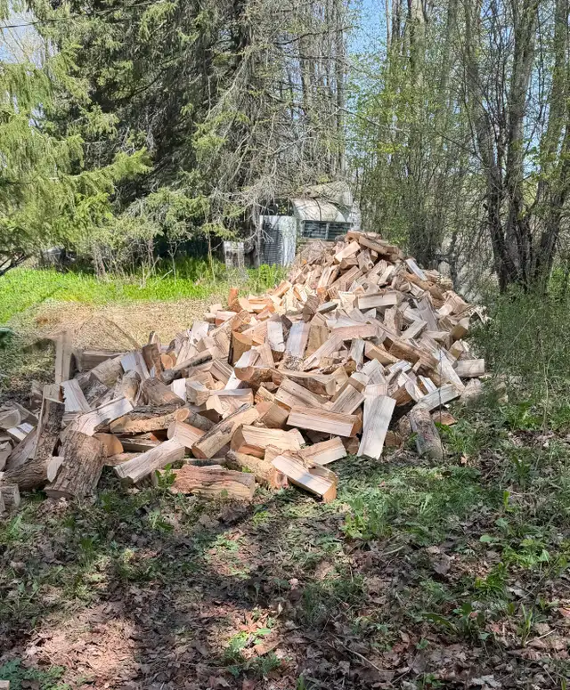 FIREWOOD - Photo 2